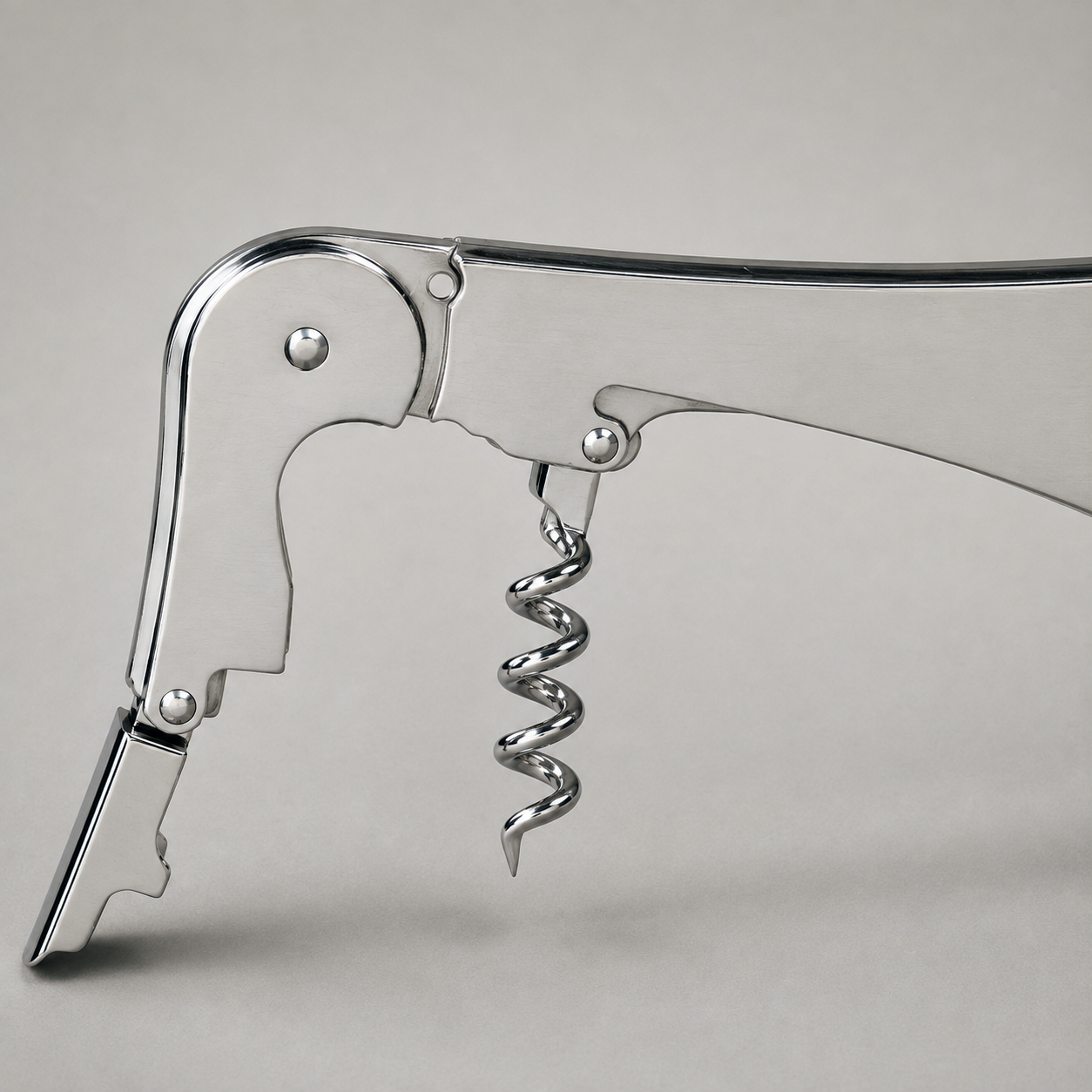 Close view of the double hinged lever, its two rivets and notched steps, and the open helix worm on plain grey