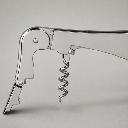 Close view of the double hinged lever, its two rivets and notched steps, and the open helix worm on plain grey