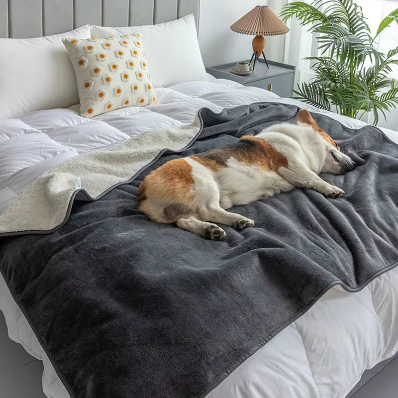 A dog asleep on the gray flannel side of the blanket across a bed, the fleece folded back at one end