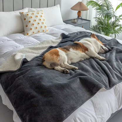 A dog asleep on the gray flannel side of the blanket across a bed, the fleece folded back at one end
