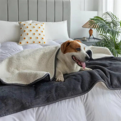 A small dog tucked under the curly fleece side of the gray blanket on a bed