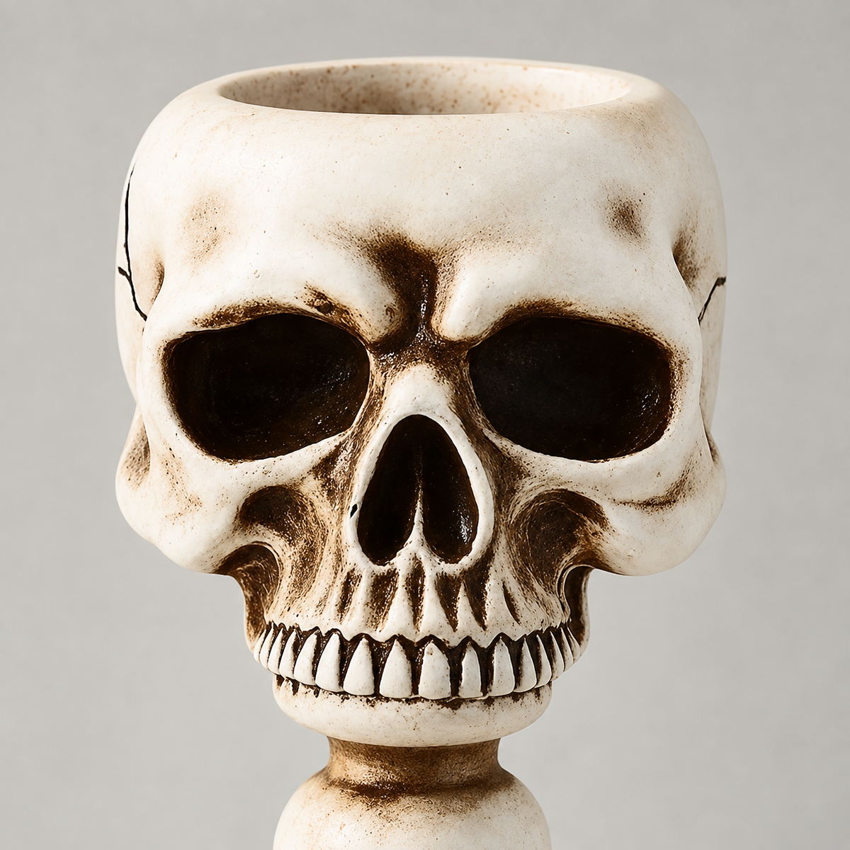 Close view of the skull's face, showing the eye sockets, the single row of upper teeth and the brown antique wash