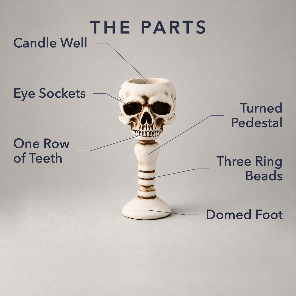 The parts of the skull candle holder labelled, from the candle well down to the domed foot
