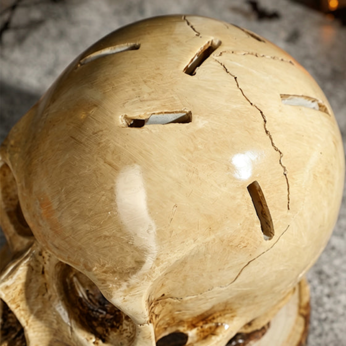 Close view of the top of the resin skull knife block, six empty slots cut clean through the crown with a long fine crack running between them