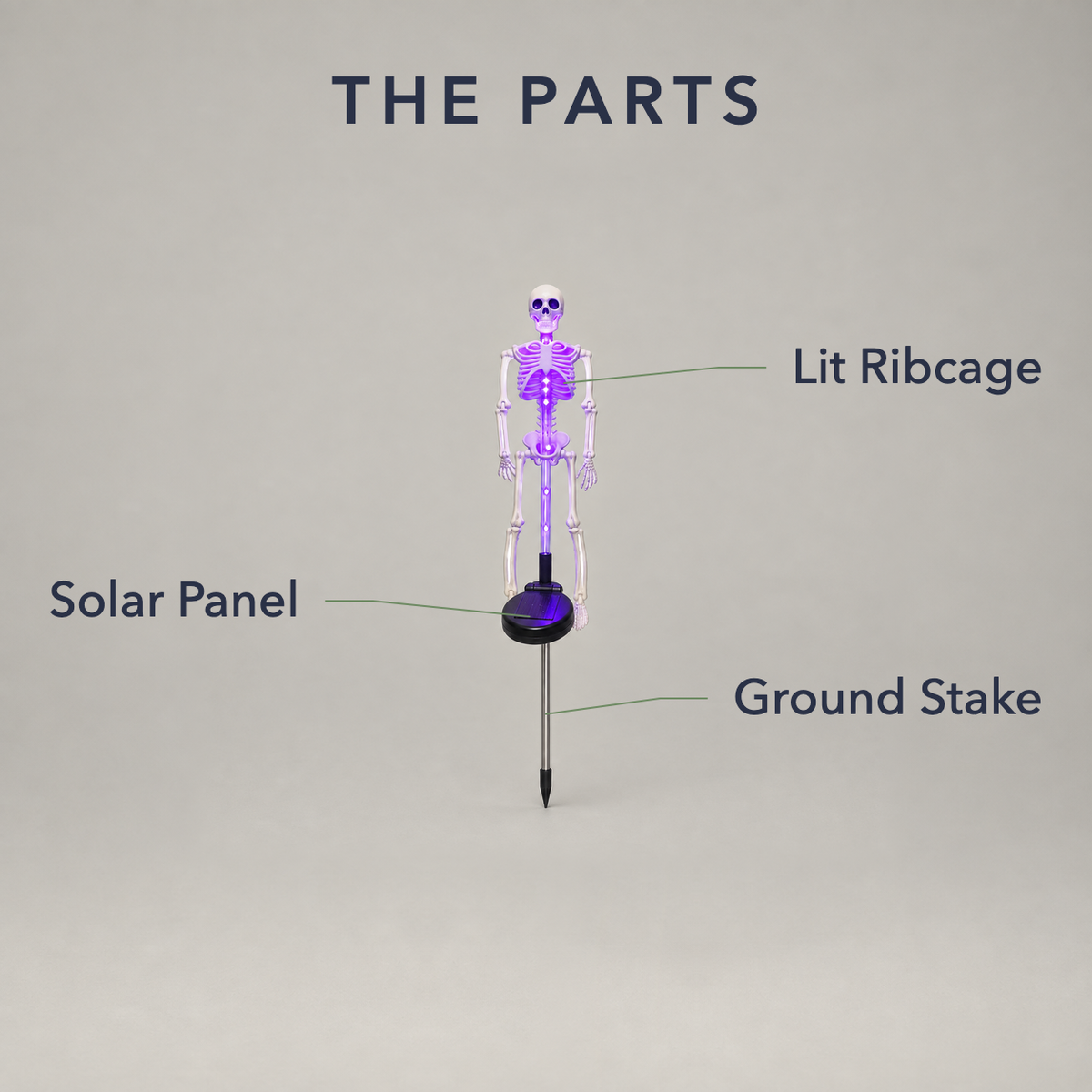 Purple skeleton stake light on a gray background with its lit ribcage, solar panel and ground stake labeled