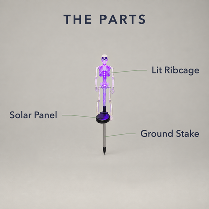 Purple skeleton stake light on a gray background with its lit ribcage, solar panel and ground stake labeled
