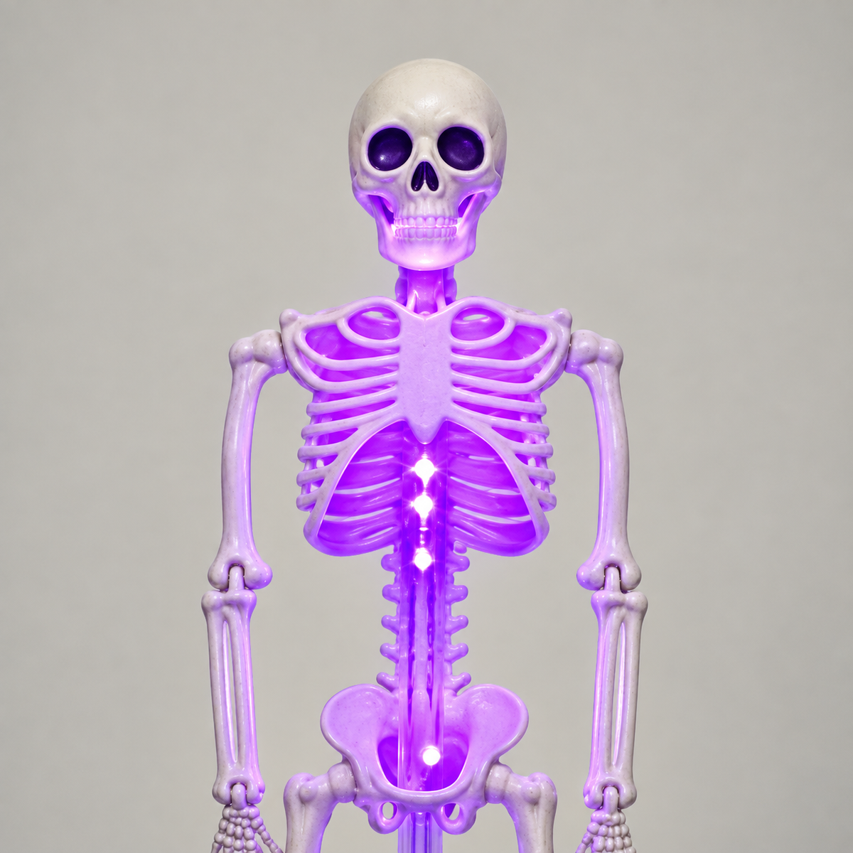 Close-up of the purple skeleton stake light's pale skull and ribcage with purple light glowing inside the ribs and spine
