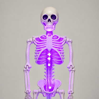 Close-up of the purple skeleton stake light's pale skull and ribcage with purple light glowing inside the ribs and spine