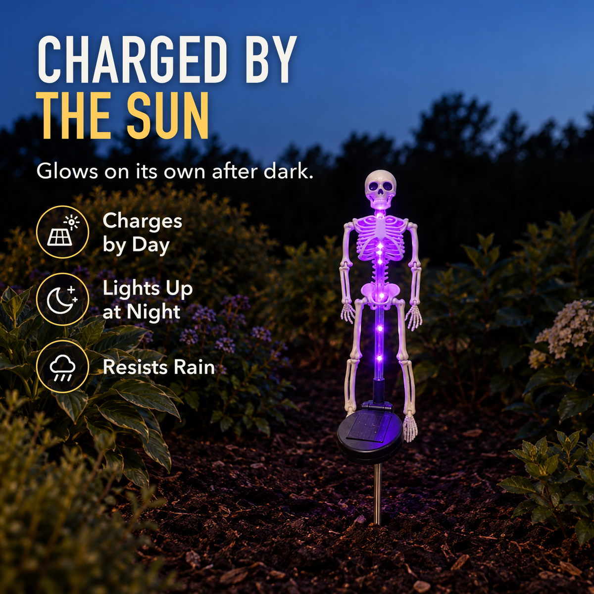 Purple solar skeleton stake light glowing in a garden bed at dusk above its solar panel, with the words Charged by the Sun, Charges by Day, Lights Up at Night and Resists Rain