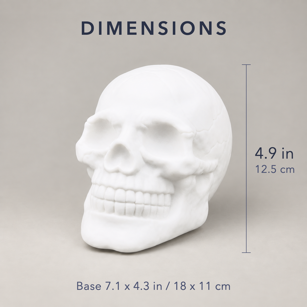 Skull night light dimensions, 4.9 in tall on a base 7.1 by 4.3 in