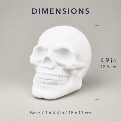 Skull night light dimensions, 4.9 in tall on a base 7.1 by 4.3 in