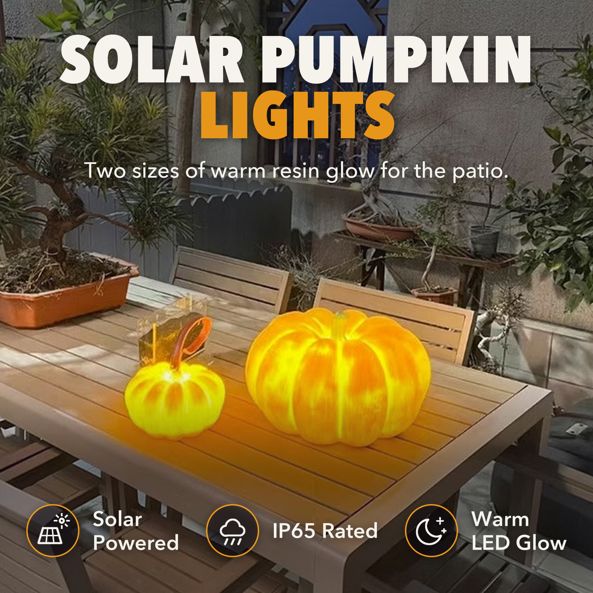 Solar pumpkin lights in two sizes glowing on a patio table, with the words solar powered, IP65 rated and warm LED glow