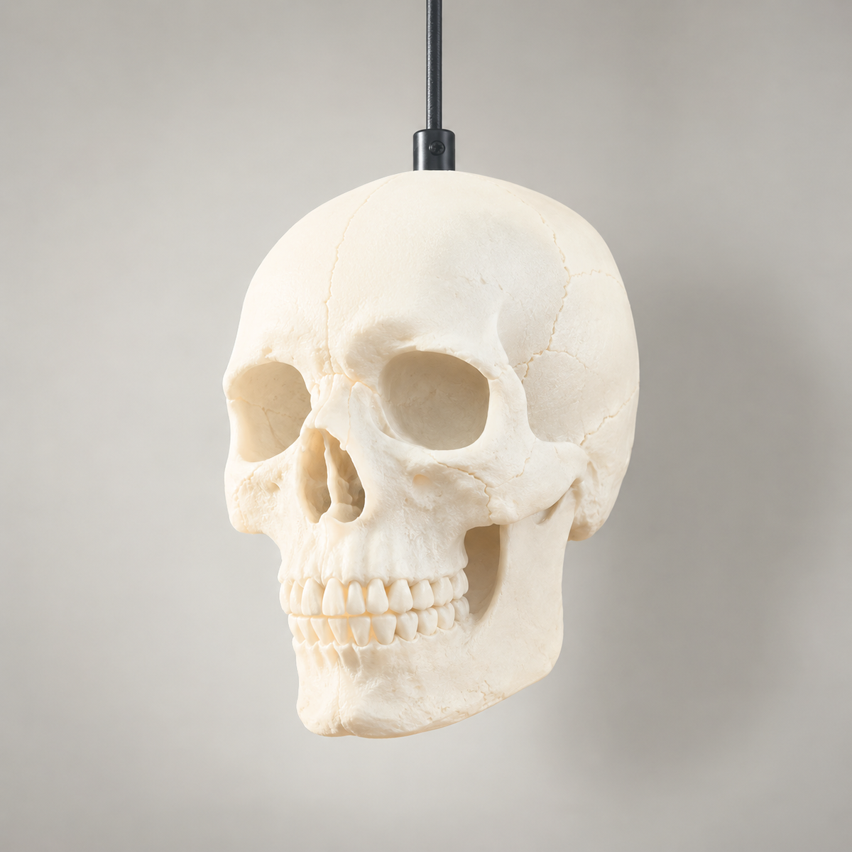 White resin skull pendant light switched off, three-quarter view on a plain grey background