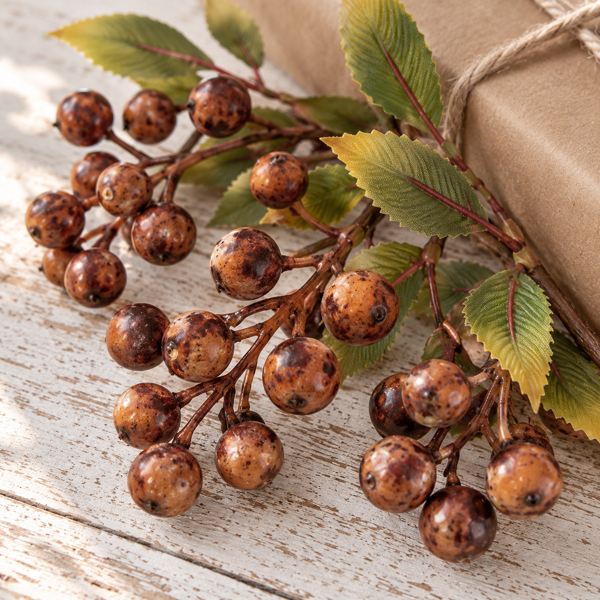 Close-up of the glossy mottled rust brown berries and serrated leaves