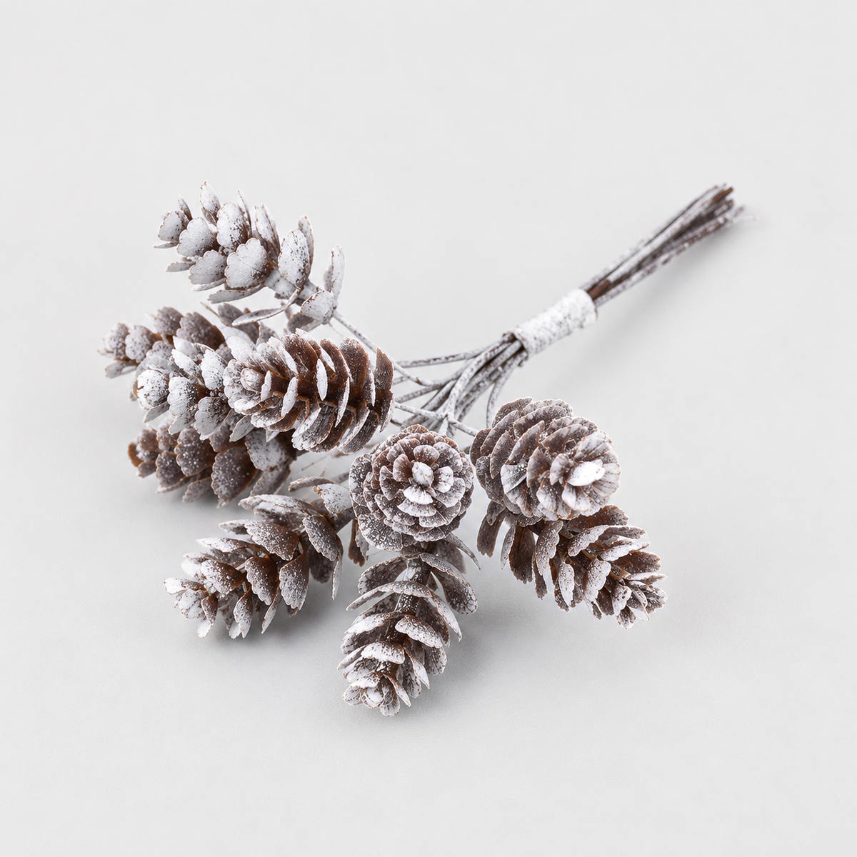 Bundle of ten small frosted pine cones on short stems, white frost over brown scales