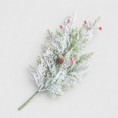 Large frosted cypress stem with red berries and a brown cone on a light gray background