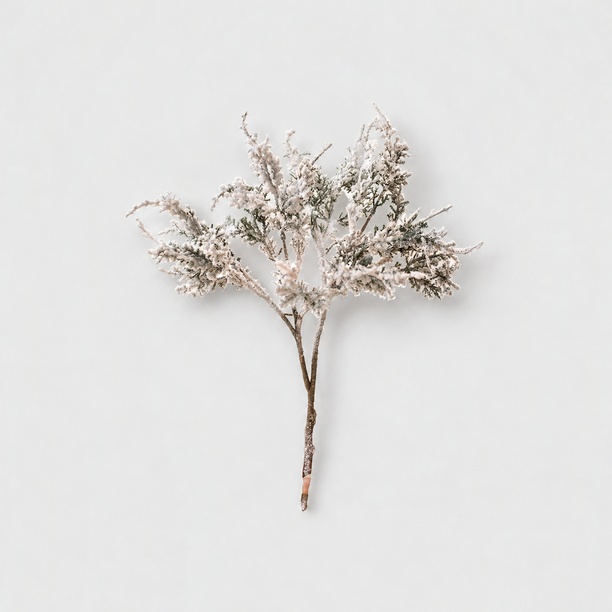 Rustic frosted branch with a bare brown stem on a light gray background