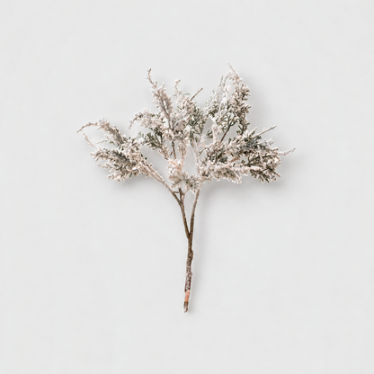 Rustic frosted branch with a bare brown stem on a light gray background