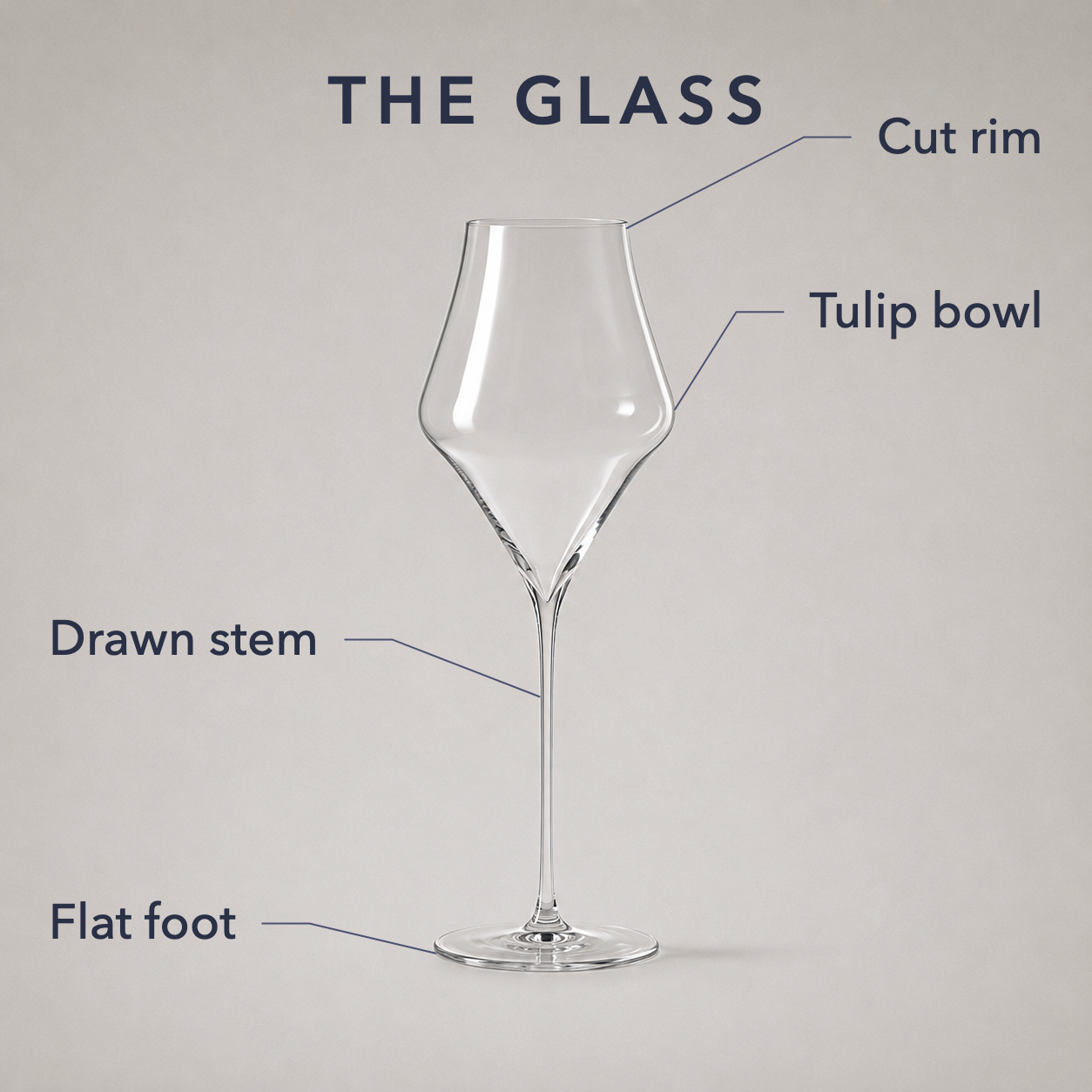 Labelled diagram of the rim, tulip bowl, drawn stem and flat foot