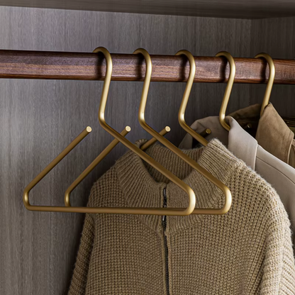 Clothes Hanger Set of 5 Metal Closet Garment Organizers