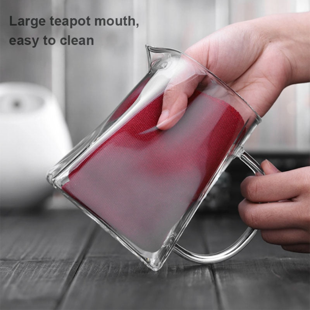 Glass Teapot With Tea Infuser, Heat Resistant Borosilicate Tea Kettle With Stainless Steel Filter
