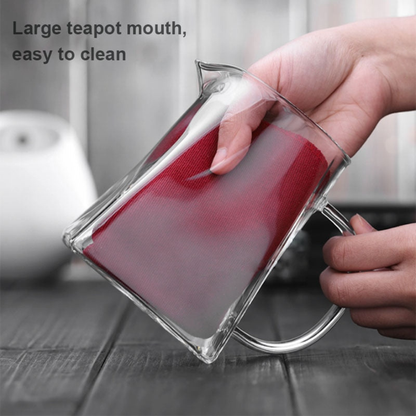 Glass Teapot With Tea Infuser, Heat Resistant Borosilicate Tea Kettle With Stainless Steel Filter