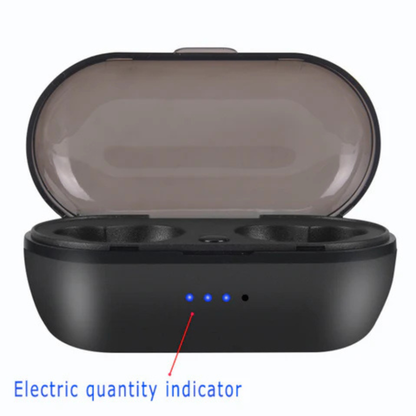 True Wireless Earbuds Bluetooth 5.0 with Mic and Charging Case