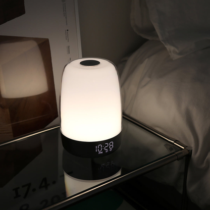 Sunrise Alarm Clock with 30 Minute Wake up Light and Natural Sound Array