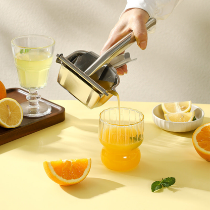 Stainless Steel Fruit Juicer Manual Juice Squeezer - Ideal For Oranges & Lemons