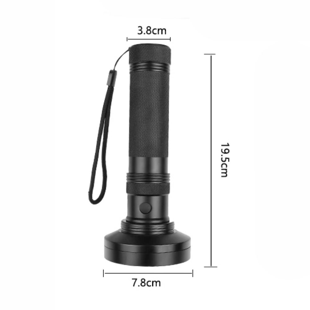 Handheld UV Flashlight For Stain Finder, Bed Bug Detection & Pet Stains