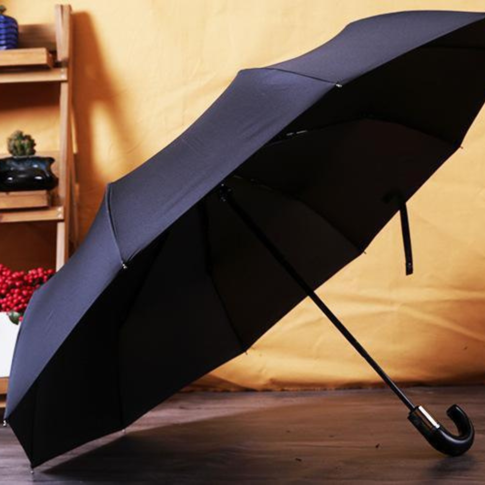 Foldable Umbrella with Automatic 10 Rib Windproof Shield - Business Design