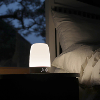 Sunrise Alarm Clock with 30 Minute Wake up Light and Natural Sound Array