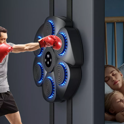 Boxing Wall Bags, Punching & Training Pad With Targeting Features