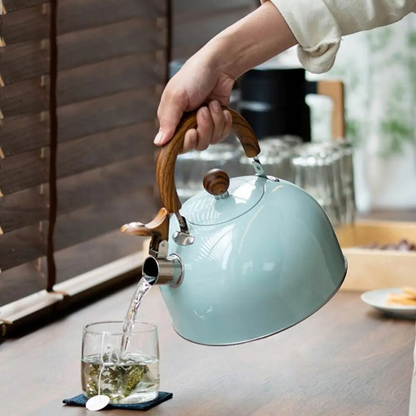 Stainless Steel Tea Kettle, 3L Stovetop Whistling Kitchen Water Boiler