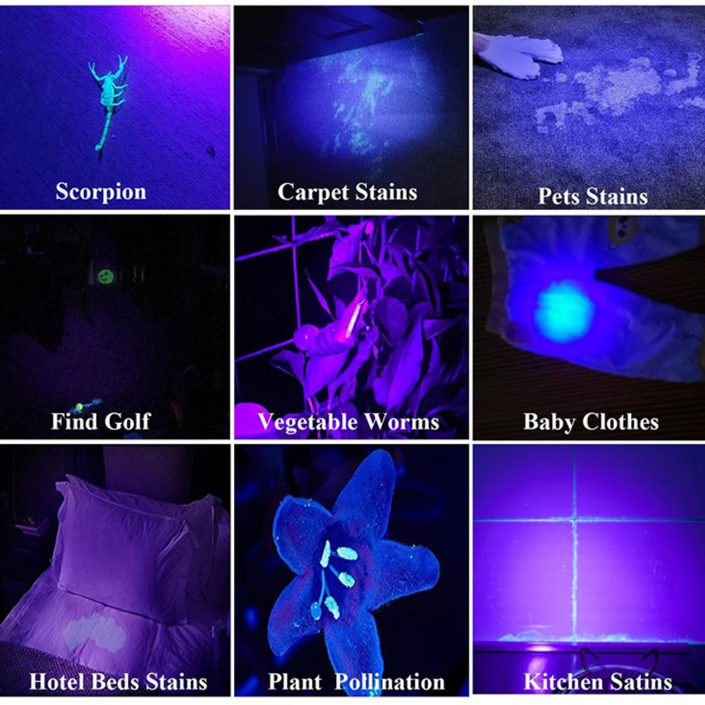 Handheld UV Flashlight For Stain Finder, Bed Bug Detection & Pet Stains