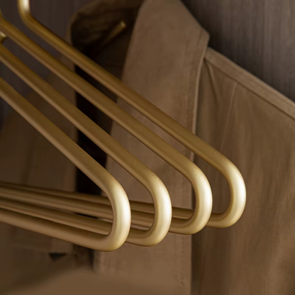 Clothes Hanger Set of 5 Metal Closet Garment Organizers