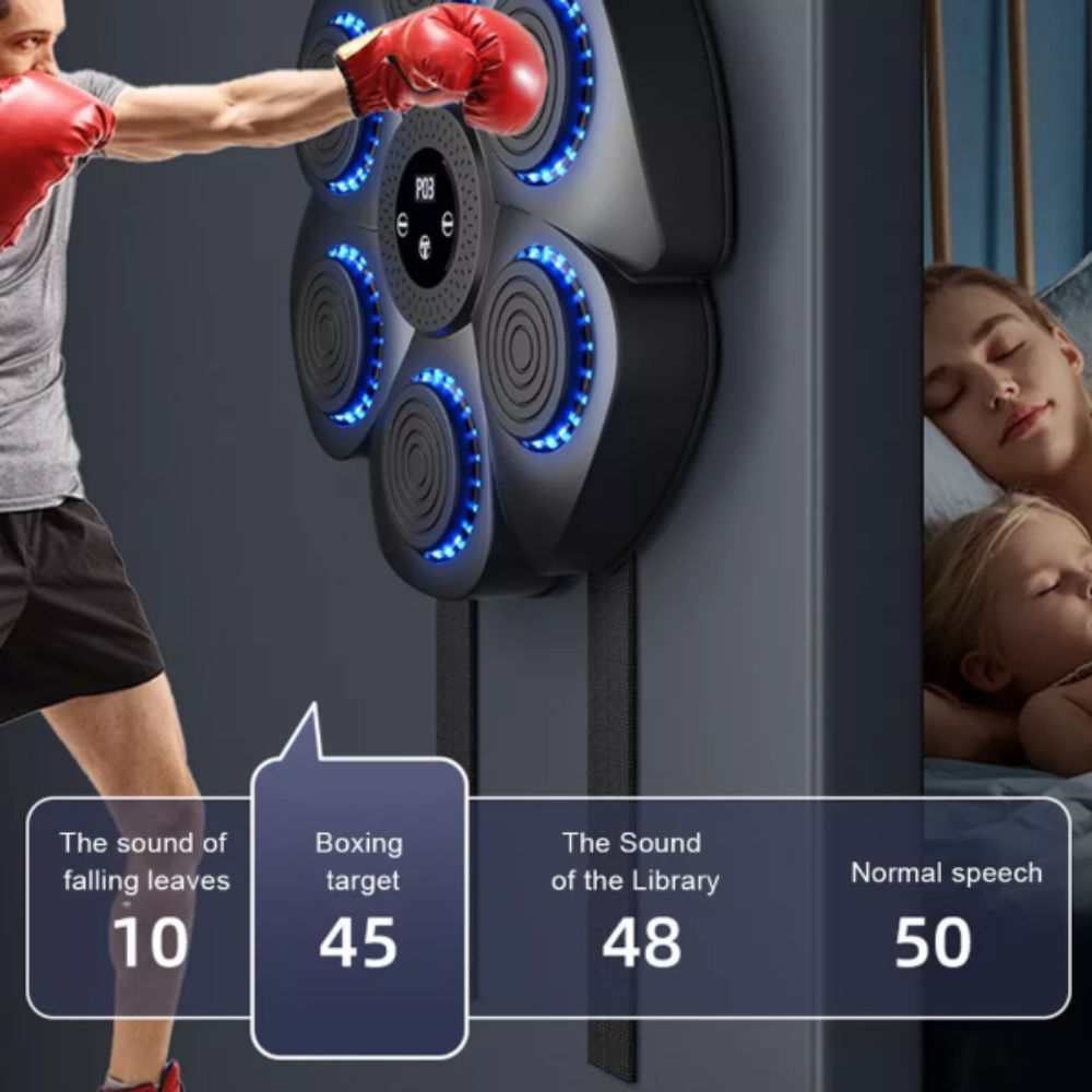 Boxing Wall Bags, Punching & Training Pad With Targeting Features