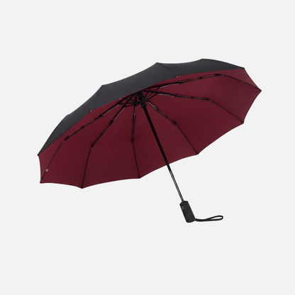 Repel Windproof Travel Umbrella with Reinforced Frame and Auto Close Button