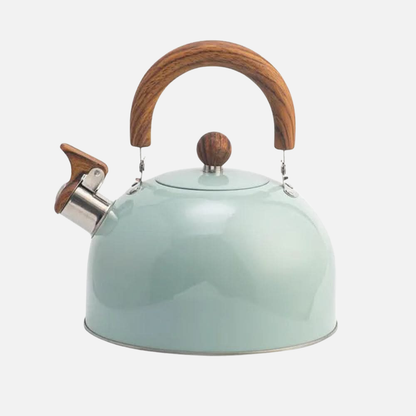 Stainless Steel Tea Kettle, 3L Stovetop Whistling Kitchen Water Boiler