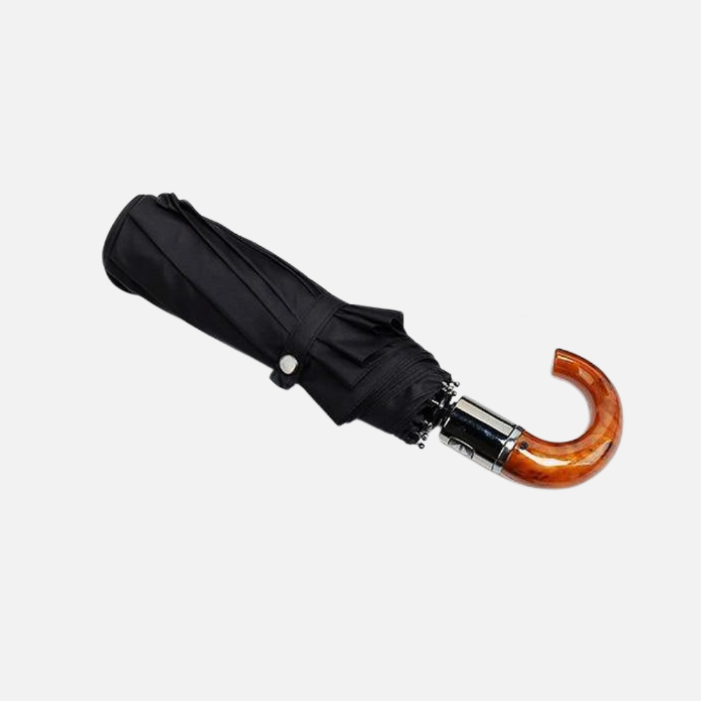 Foldable Umbrella with Automatic 10 Rib Windproof Shield - Business Design