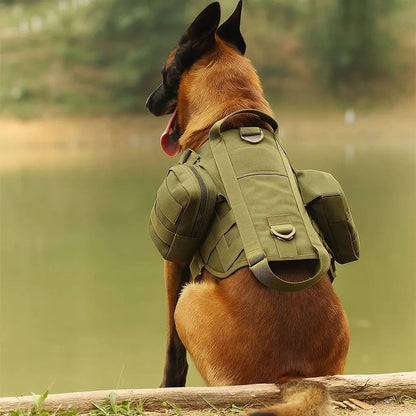 Army green dog harness vest worn by a dog sitting beside water, seen from behind, with a saddle pouch on each side and the zipped box pouch taken off