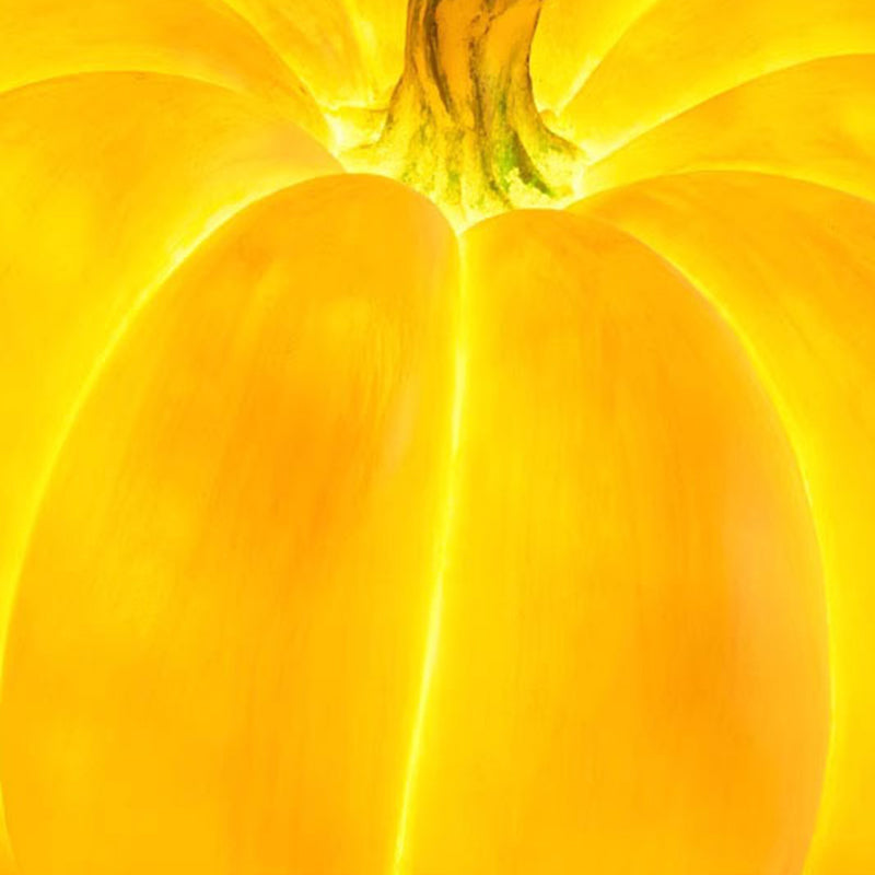 Close view of a lit resin pumpkin lamp below the stem, the grooves between the lobes glowing brighter