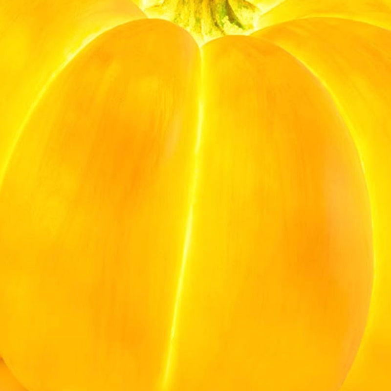 Close view of the lit resin shell of a pumpkin lamp, light passing through each lobe